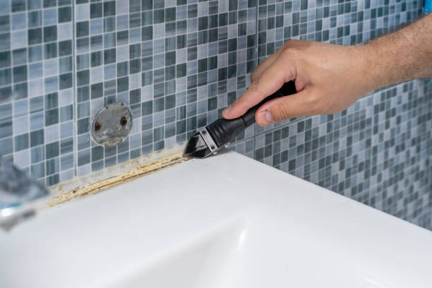 Best Residential Mold Removal  in New Hope, AL