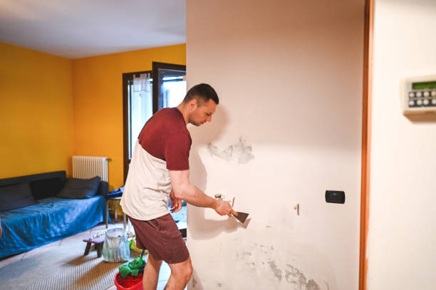 Best Fast Mold Removal  in New Hope, AL